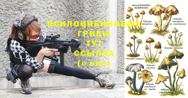 спайс Слюдянка
