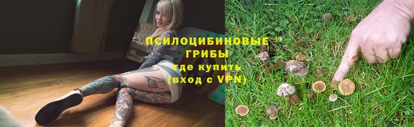 тгк Верхний Тагил