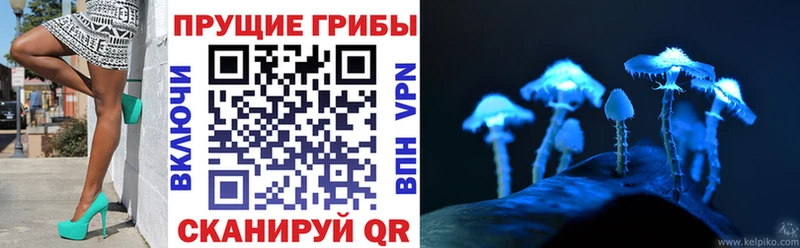 Псилоцибиновые грибы Cubensis  Курск 